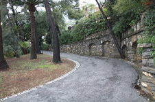 Enlarge photo 81