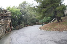 Enlarge photo 82
