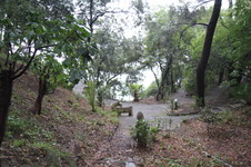 Enlarge photo 84