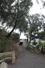 Enlarge photo 85