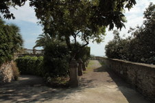 Enlarge photo 18