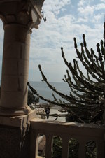 Enlarge photo 96