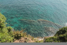 Enlarge photo 102