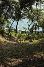 Enlarge photo 31