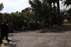 Enlarge photo 109