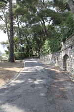 Enlarge photo 108