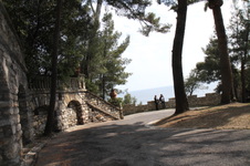 Enlarge photo 110