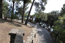 Enlarge photo 111