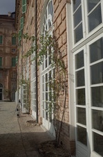 Enlarge photo 38