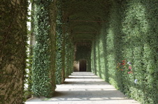 Enlarge photo 32