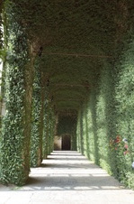 Enlarge photo 31