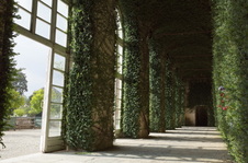 Enlarge photo 30