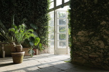 Enlarge photo 28
