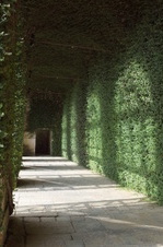 Enlarge photo 27