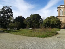 Enlarge photo 40