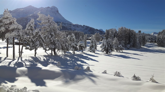Enlarge photo 8