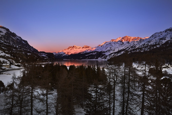 Enlarge photo 11