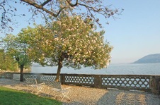 Enlarge photo 18