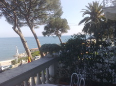 Enlarge photo 35