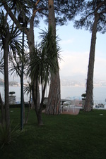 Enlarge photo 4