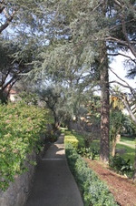 Enlarge photo 14