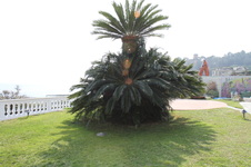 Enlarge photo 7
