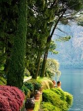 Enlarge photo 61