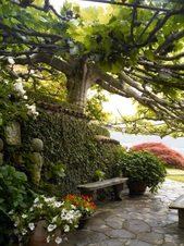 Enlarge photo 64