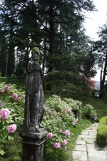 Enlarge photo 71