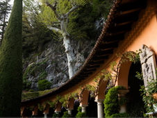 Enlarge photo 17
