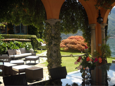 Enlarge photo 73