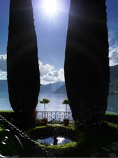Enlarge photo 35