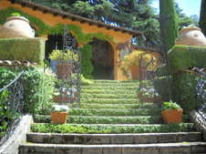 Enlarge photo 55