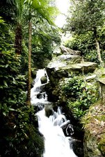 Enlarge photo 18