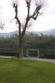 Enlarge photo 51