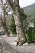 Enlarge photo 54