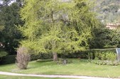 Enlarge photo 55