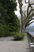 Enlarge photo 60