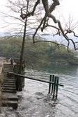 Enlarge photo 61