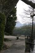 Enlarge photo 62