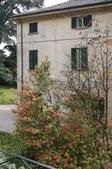 Enlarge photo 63