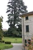 Enlarge photo 65