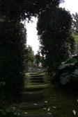 Enlarge photo 73