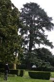 Enlarge photo 74