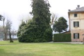 Enlarge photo 76