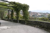 Enlarge photo 83