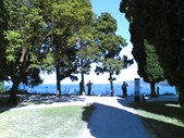 Enlarge photo 21