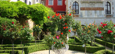 Enlarge photo 3