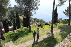 Enlarge photo 8