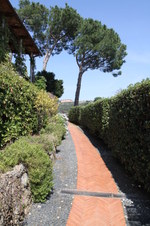 Enlarge photo 13